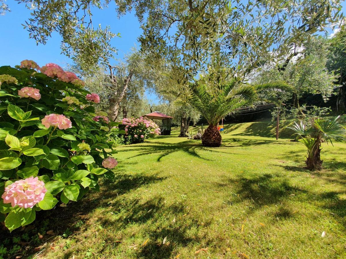 Apartmán Casa Valenti Brenzone sul Garda Exteriér fotografie