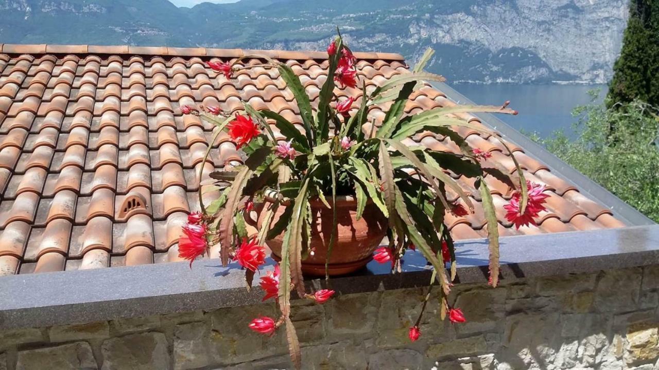 Apartmán Casa Valenti Brenzone sul Garda Exteriér fotografie