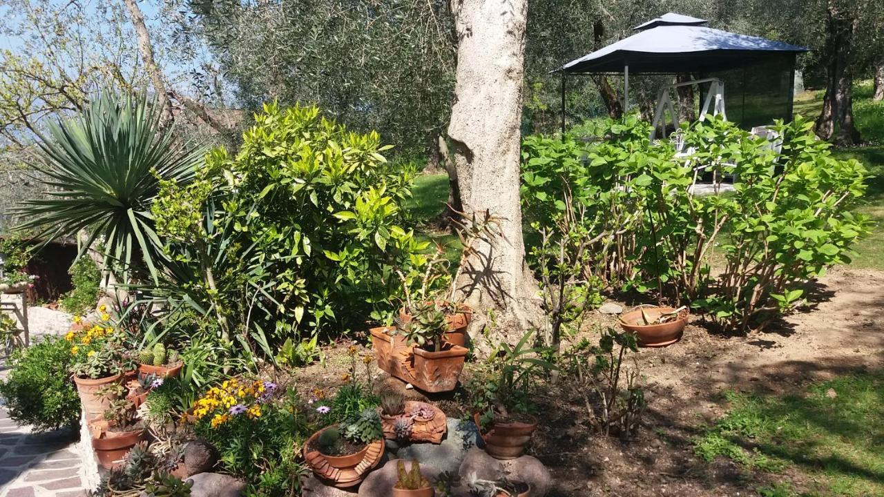Apartmán Casa Valenti Brenzone sul Garda Exteriér fotografie
